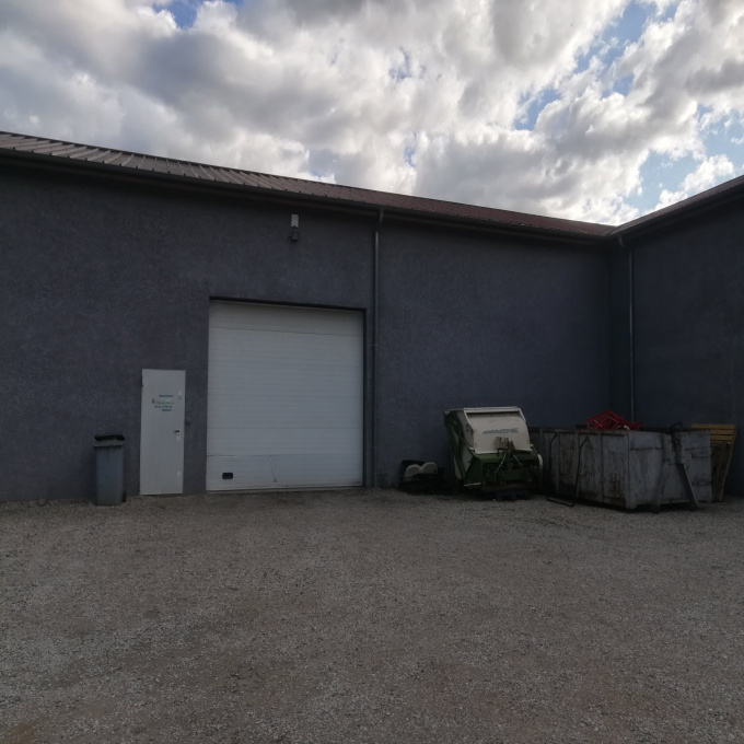 Location Immobilier Professionnel Entrepôt Saint-Michel-sur-Rhône (42410)